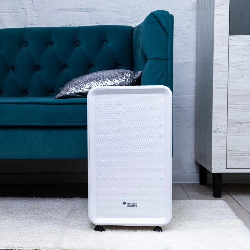 The Roomer Smart dehumidifier efficiently reduces indoor humidity.