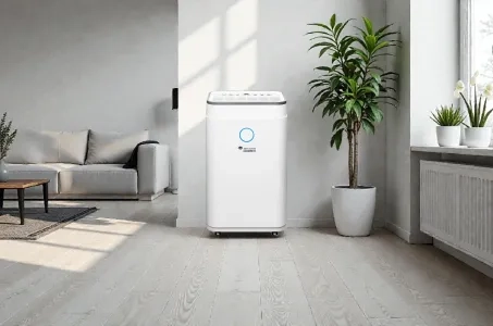 Which dehumidifier to choose for your home or apartment: for different sizes and tasks