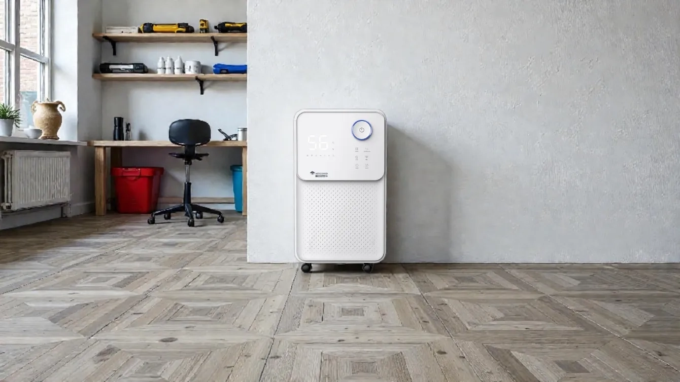How to choose a household dehumidifier for your home
