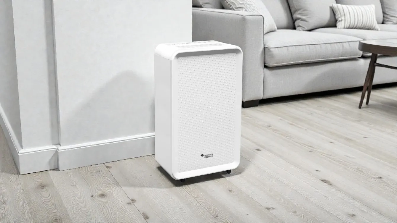 What is a dehumidifier: how it works and why you need one